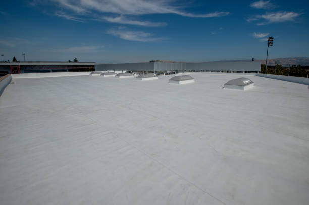 Best Roof Maintenance and Cleaning  in Middlesex, NC