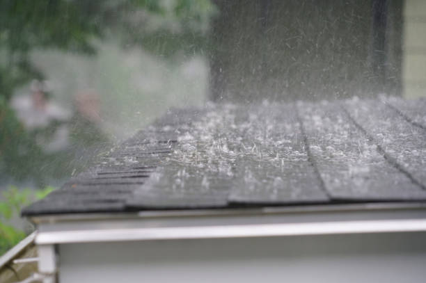 Best Roof Insulation Installation  in Middlesex, NC